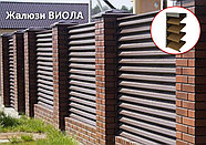 Жалюзи Виола matt, фото 2
