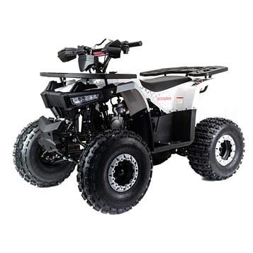 Квадроцикл Motoland Storm 125cc