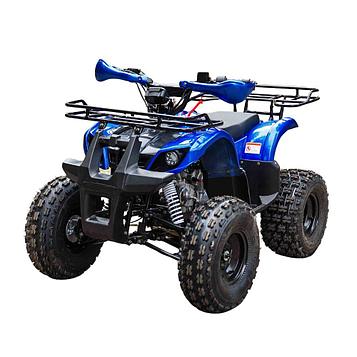 Квадроцикл Motoland Fox 125cc (мотокомплект)