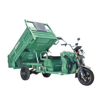 Электротрицикл Rutrike D5 1700