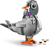 Конструктор LEGO Creator 3 в 1 31163 Озорной кот, фото 9