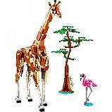 Конструктор LEGO Creator 31150 Дикие животные сафари, фото 2