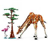 Конструктор LEGO Creator 31150 Дикие животные сафари, фото 4