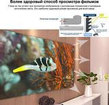 Экран Cactus Alr Expert CS-PSALRE-224X127-MM магнитное крепление, 224х127 см, 16:9, настенный черный, фото 3