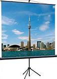 Экран Lumien Eco View LEV-100102, 180х180 см, 1:1, напольный черный, фото 2