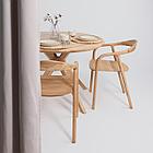 Стул БИО, дуб натуральный/покрытие бесцветное, фото 4