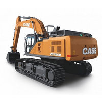 ЗАПЧАСТИ CASE
