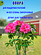 Подставка опора под кусты, растения, кустодержатель 2 шт. выс. 70 см, диам. 40 см, фото 5