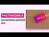 ECO Бензопила CSP-265, фото 5