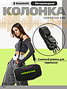 HOPESTAR Колонка музыкальная беспроводная bluetooth с микрофоном A80, фото 2