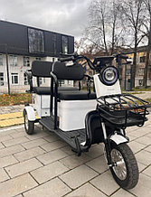 Электрический трицикл Бизнес Класса SHTENLI Model 37 SLA 20Ач48В