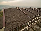 Битумная черепица Шинглас ФИНСКАЯ - Коричневый, фото 2