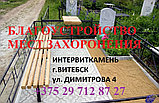 Укладка тротуарной плитки, фото 2