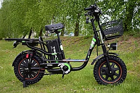 Электровелосипед Terax DVINA