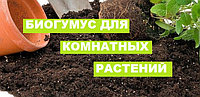 Как применять биогумус для комнатных растений