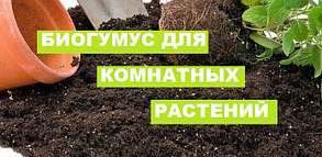 Как применять биогумус для комнатных растений