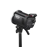 Комплект студийного оборудования Godox MS300V-F, фото 3