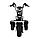 Электроскутер IKINGI Citycoco X1 Pro Trike 2025, фото 3
