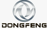 Dongfeng Aeolus Коврики в салон и багажник