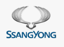 SsangYong Коврики в салон и багажник