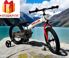 Велосипед-беговел BUBAGO Rollin 14" колеса, BG 166-3