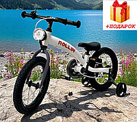 Велосипед-беговел BUBAGO Rollin 14" колеса, BG 166-3 Серый
