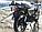 Мопед VENTO RIVA 2 RX красный 125 new, фото 9