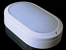 Светодиодный светильник LUNAR-15 W (220V, 15W, холодный белый, ЖКХ, IP65, антивандальный)