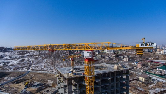 Башенный кран WELLD QTZ 100 (6016) - 10 т