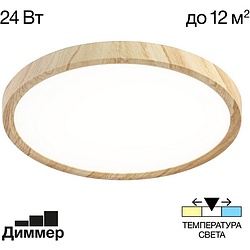 Настенно-потолочный светильник Citilux Бейсик CL738242V