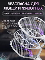 Электрическая мухобойка, лампа от насекомых, фото 2