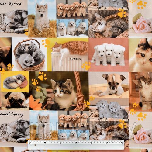 Ткань Дизайн  210D PVC F3757-3 (CRSA)