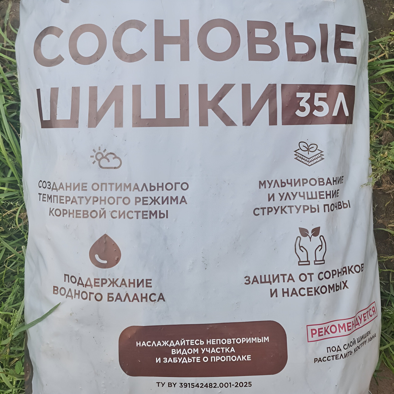 Шишки сосновые, 35 л (самовывозом)