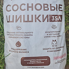 Шишки сосновые, 35 л (самовывозом)