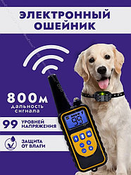 Товары для животных