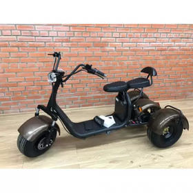 Трицикл Citycoco 301 (2000ВТ) АКБ 20 АН, ксенон, сигнализация