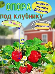 Опора для гладиолуса, растений