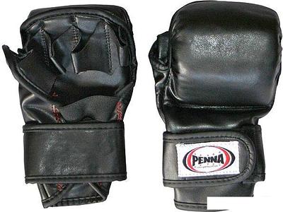 Penna