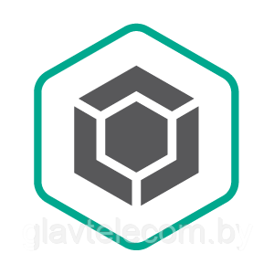 Kaspersky Total Security for Business