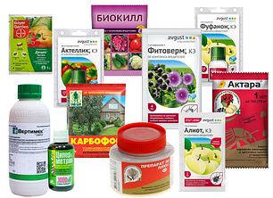 СРЕДСТВА ЗАЩИТЫ РАСТЕНИЙ ОТ БОЛЕЗНЕЙ, РЕГУЛЯТОРЫ РОСТА