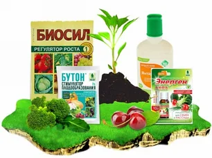 РЕГУЛЯТОРЫ И СТИМУЛЯТОРЫ РОСТА РАСТЕНИЙ