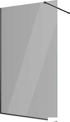 Душевая стенка Berges Wasserhaus Sky Black 80x200 064012, фото 2