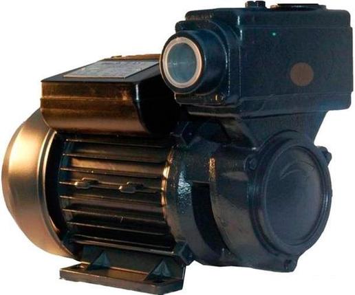 Насос IBO WZI 250, фото 2