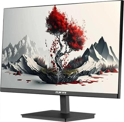 Монитор RDW Computers 2401K/F00В3120V2A1, фото 2