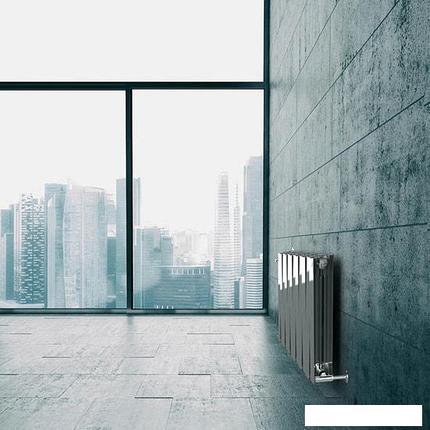 Радиатор Royal Thermo PianoForte 500 Silver Satin (12 секций), фото 2