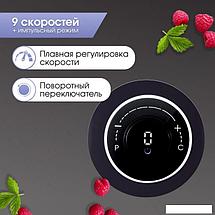 Стационарный блендер Zigmund & Shtain BS-446 D, фото 2