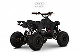 Детский электроквадроцикл RiverToys MARK (черный Spider), фото 6