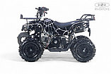 Детский квадроцикл RiverToys TIGER (черный spider) Бензиновый, фото 5