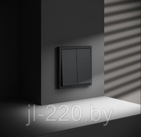 Выключатель встраиваемый VOLTUM S70, двухклавишный, 10А, графит
