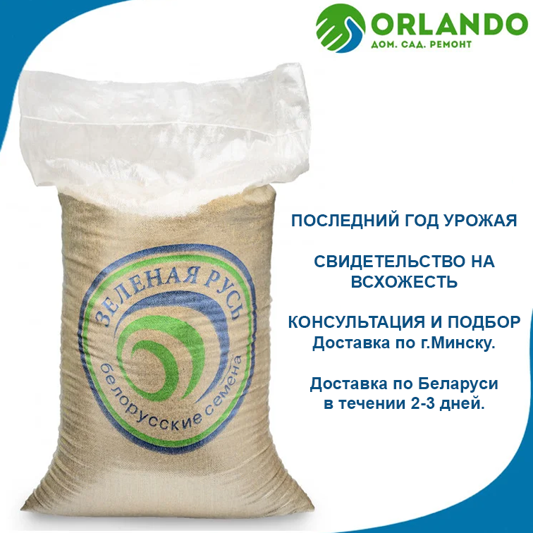 Семена газона Садово-парковая 20кг Зеленая Русь